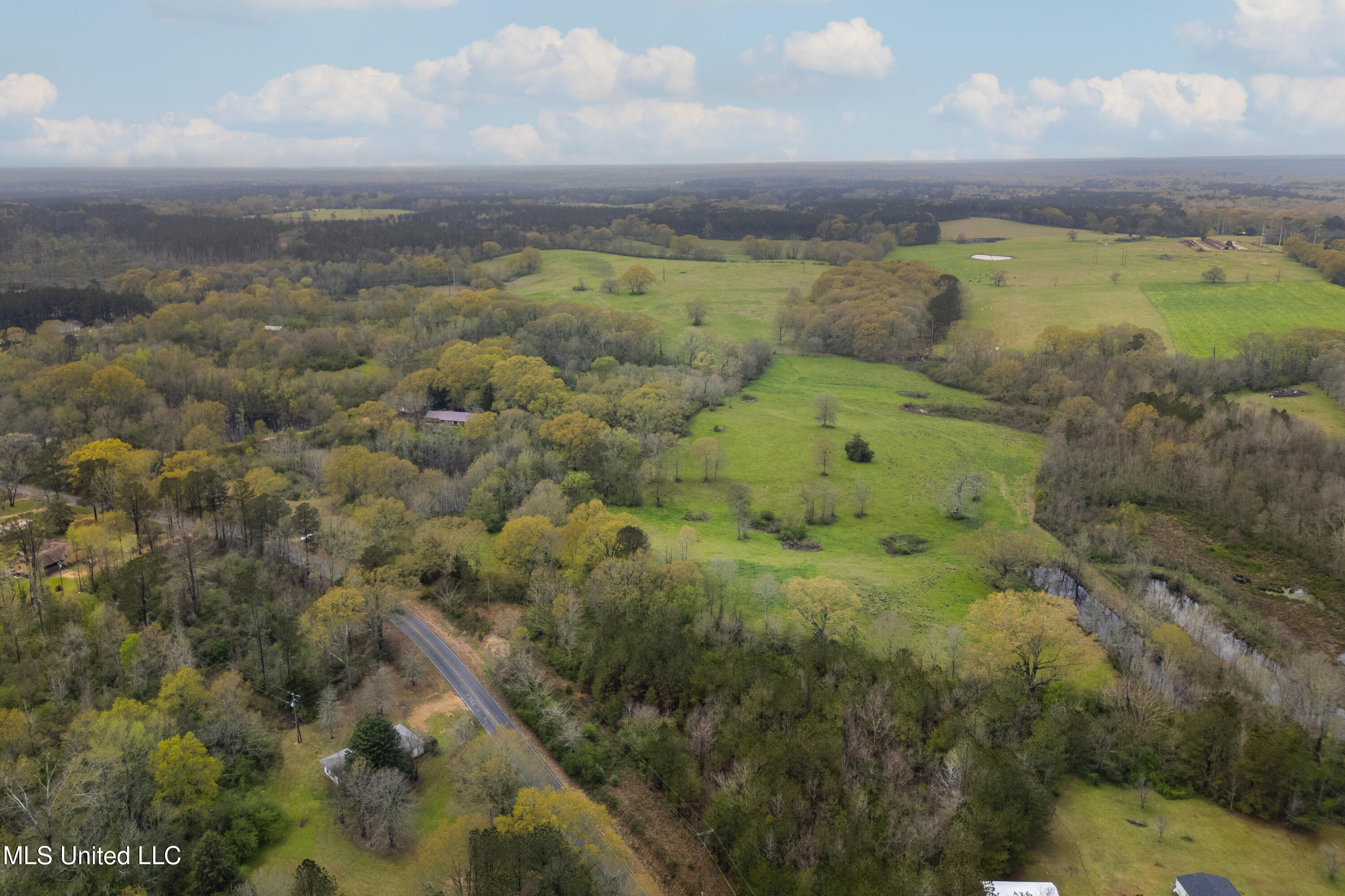 Siloam Road, Magee, Mississippi image 46