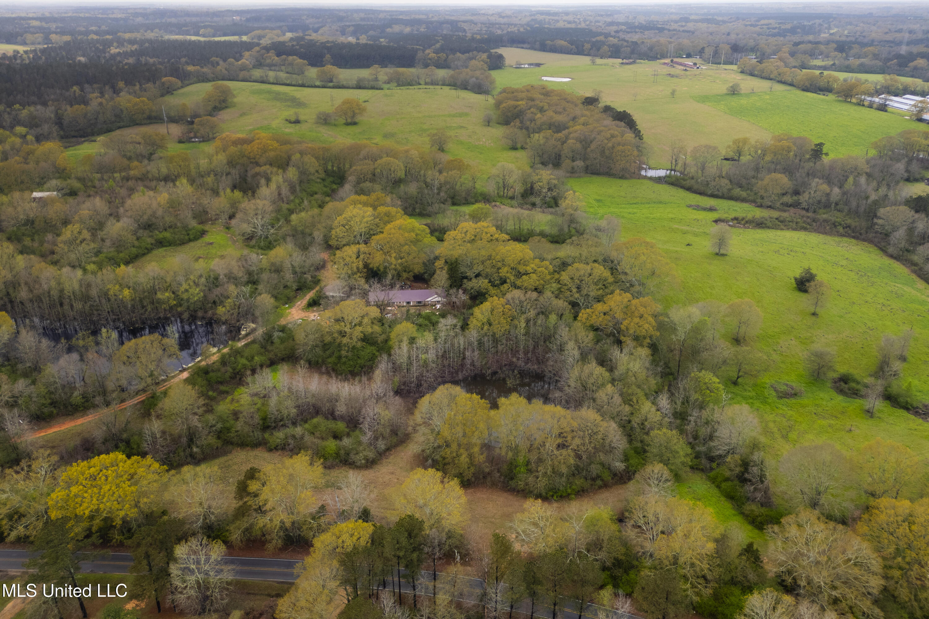 Siloam Road, Magee, Mississippi image 32