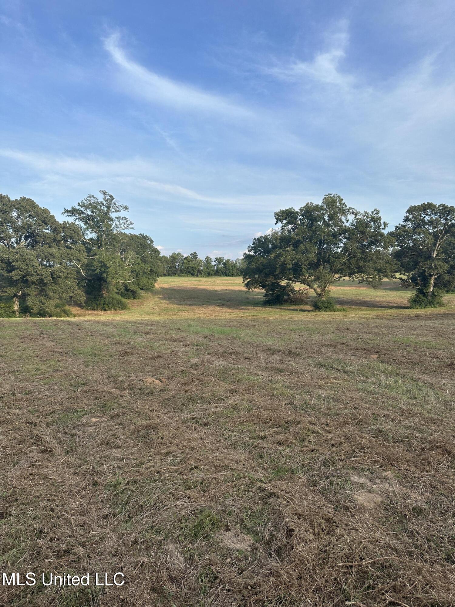 Siloam Road, Magee, Mississippi image 9