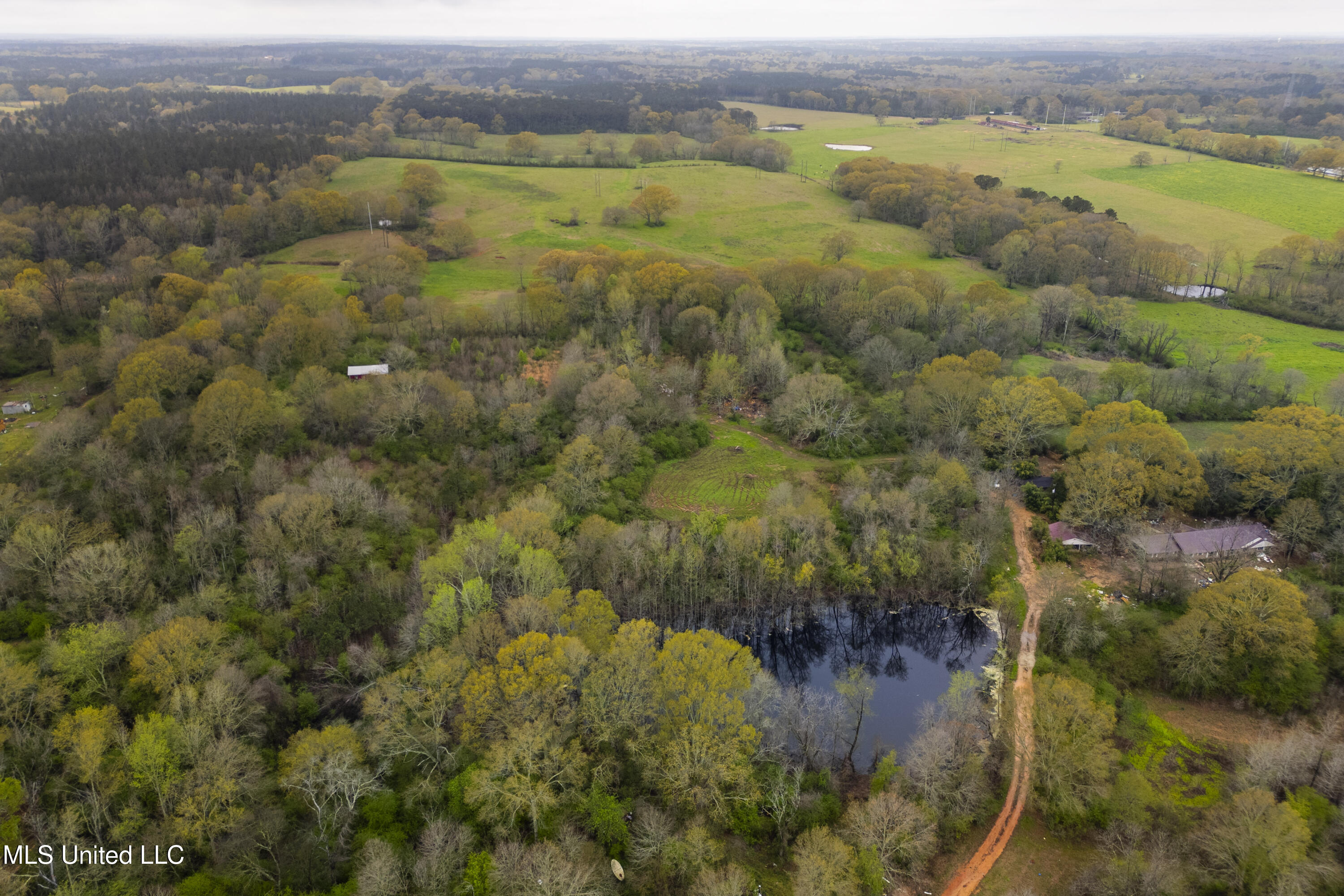 Siloam Road, Magee, Mississippi image 33