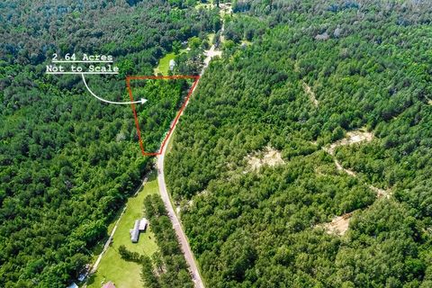 Vacant Land For Sale - Jerusalem Road<br/> Amite County, Liberty, MS 39645