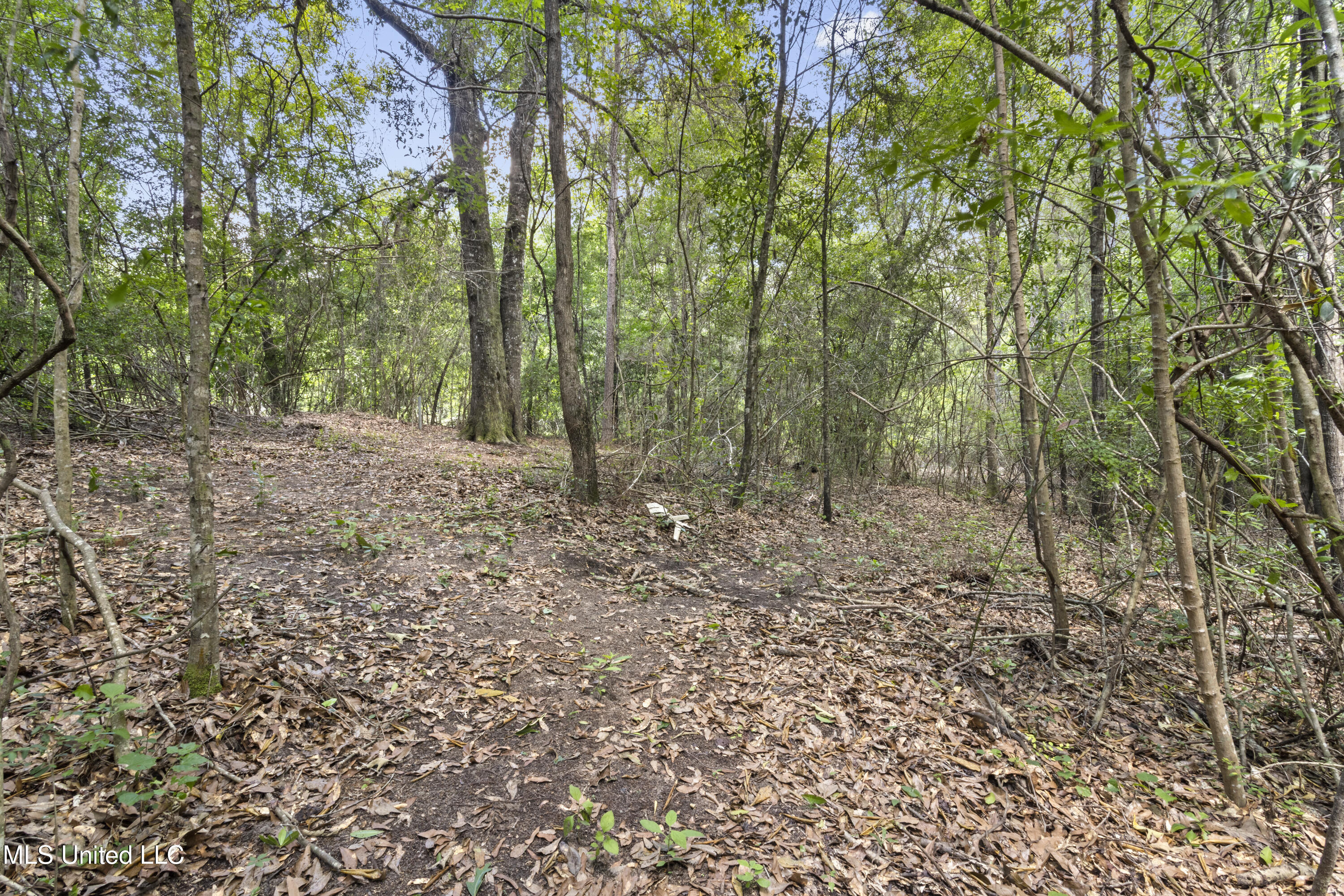 34 Cobb Road, Wiggins, Mississippi image 19