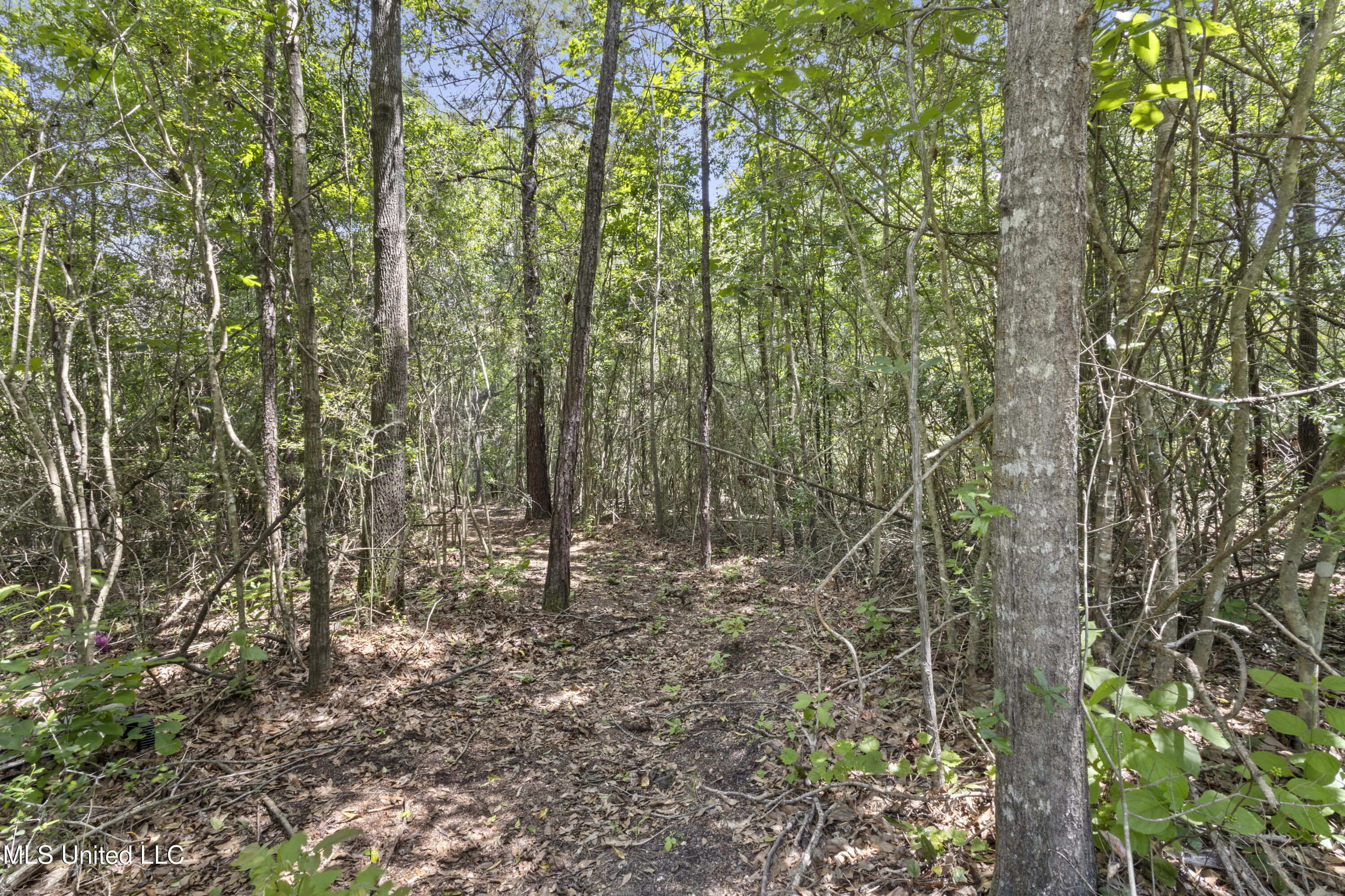 34 Cobb Road, Wiggins, Mississippi image 18