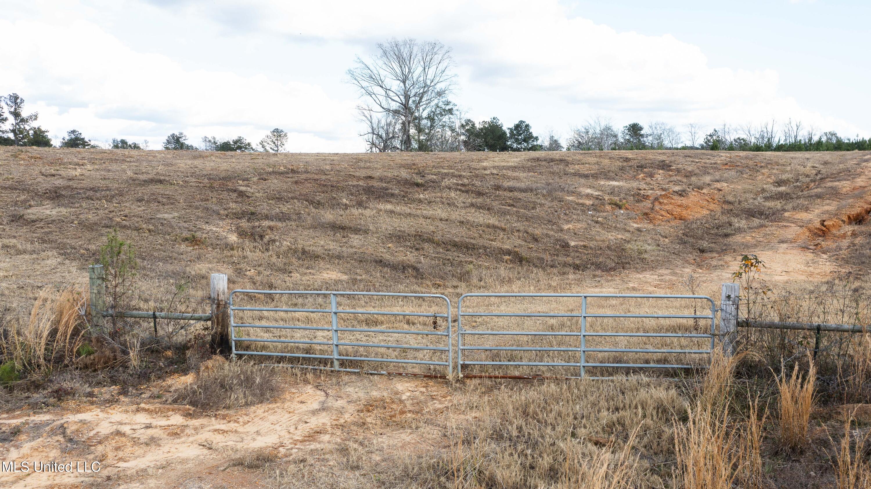 Ms-13  (44 Acres), Mendenhall, Mississippi image 1