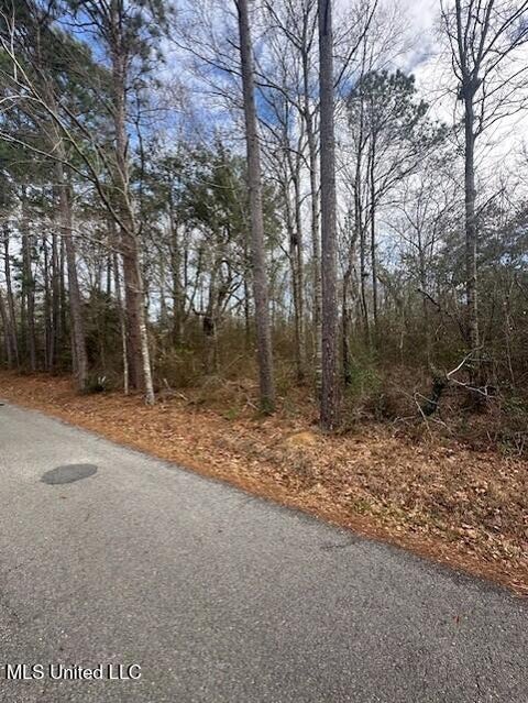 Vacant Land For Sale - Ms 53 Lot 4<br/> Gulfport, MS 39503