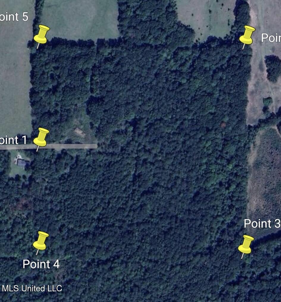 55 Amacker Road, Poplarville, Mississippi image 11