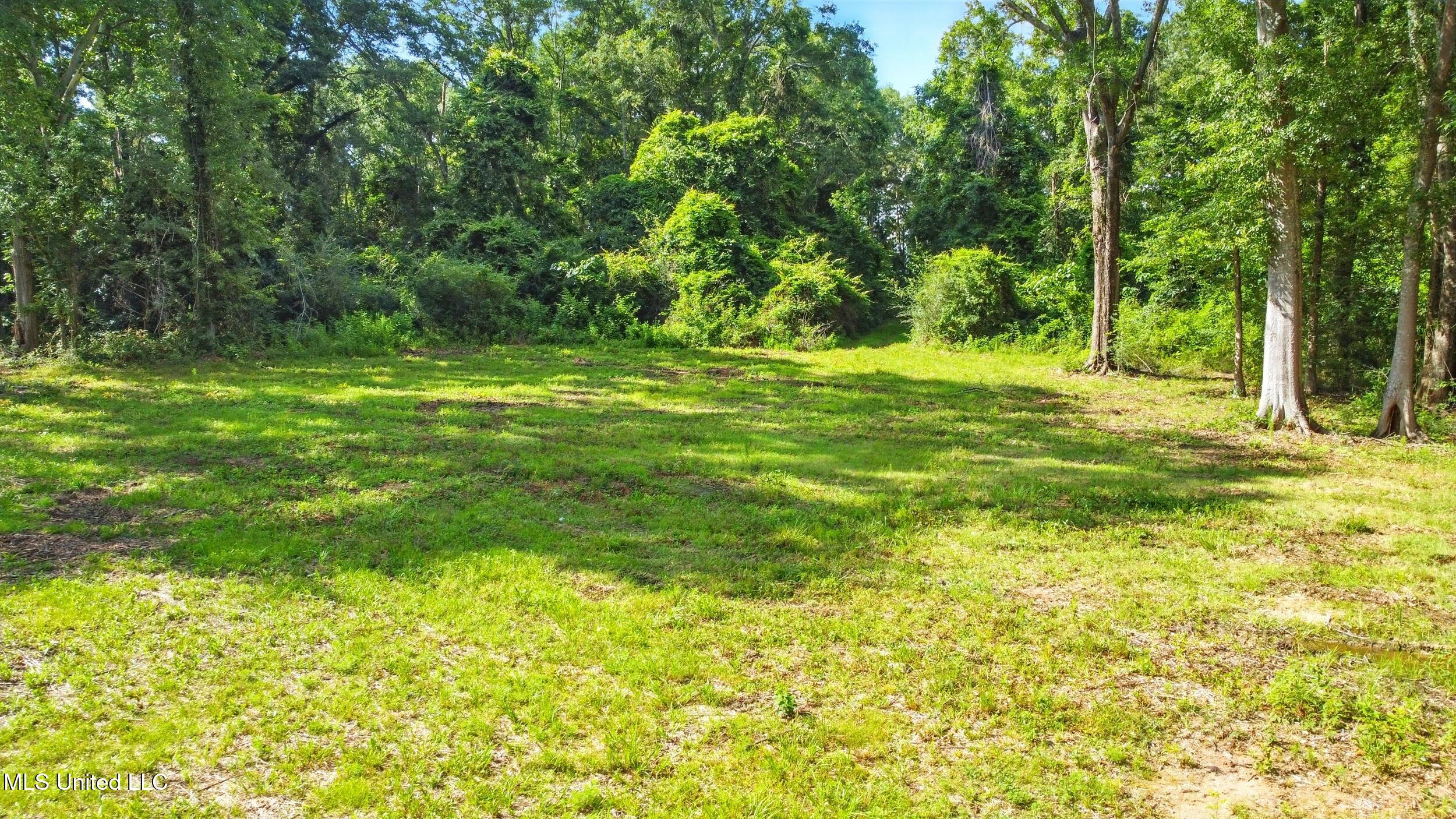 55 Amacker Road, Poplarville, Mississippi image 2