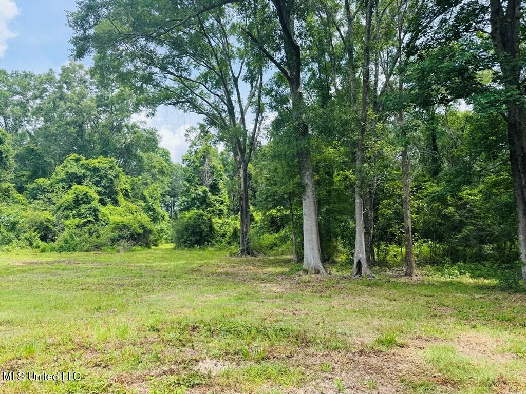 55 Amacker Road, Poplarville, Mississippi image 5