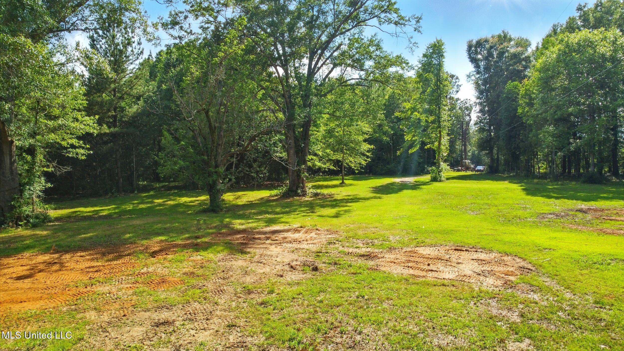 55 Amacker Road, Poplarville, Mississippi image 1
