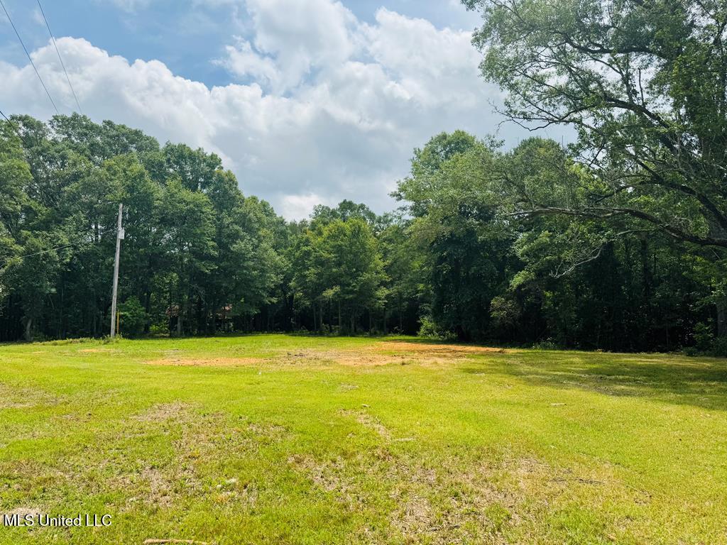 55 Amacker Road, Poplarville, Mississippi image 3