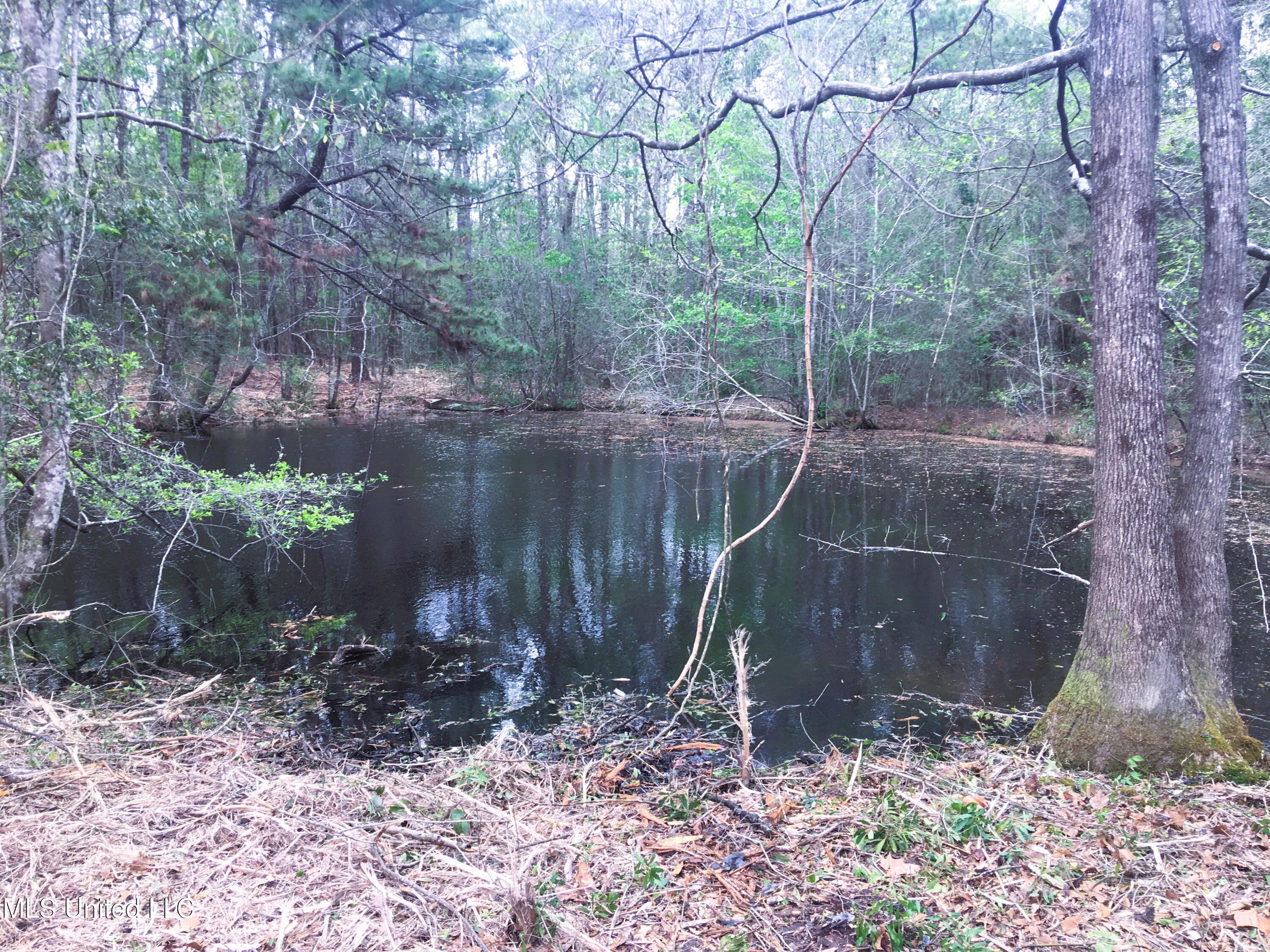 55 Amacker Road, Poplarville, Mississippi image 10