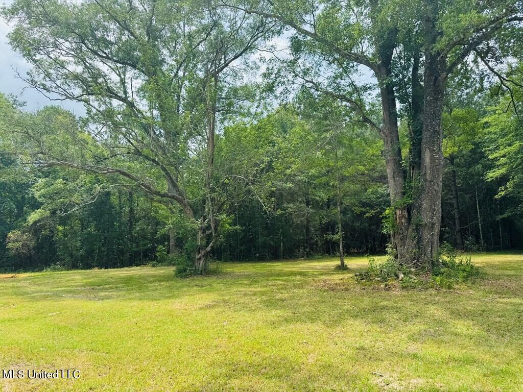 55 Amacker Road, Poplarville, Mississippi image 6