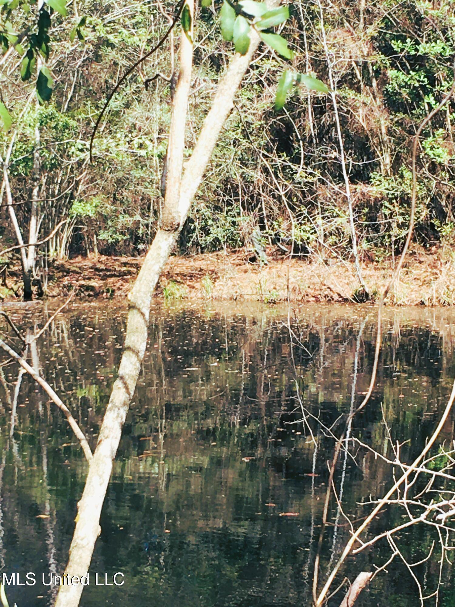 55 Amacker Road, Poplarville, Mississippi image 8