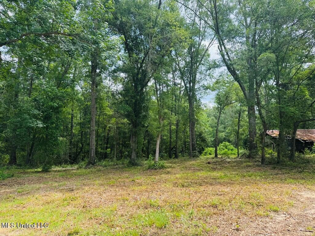 55 Amacker Road, Poplarville, Mississippi image 7
