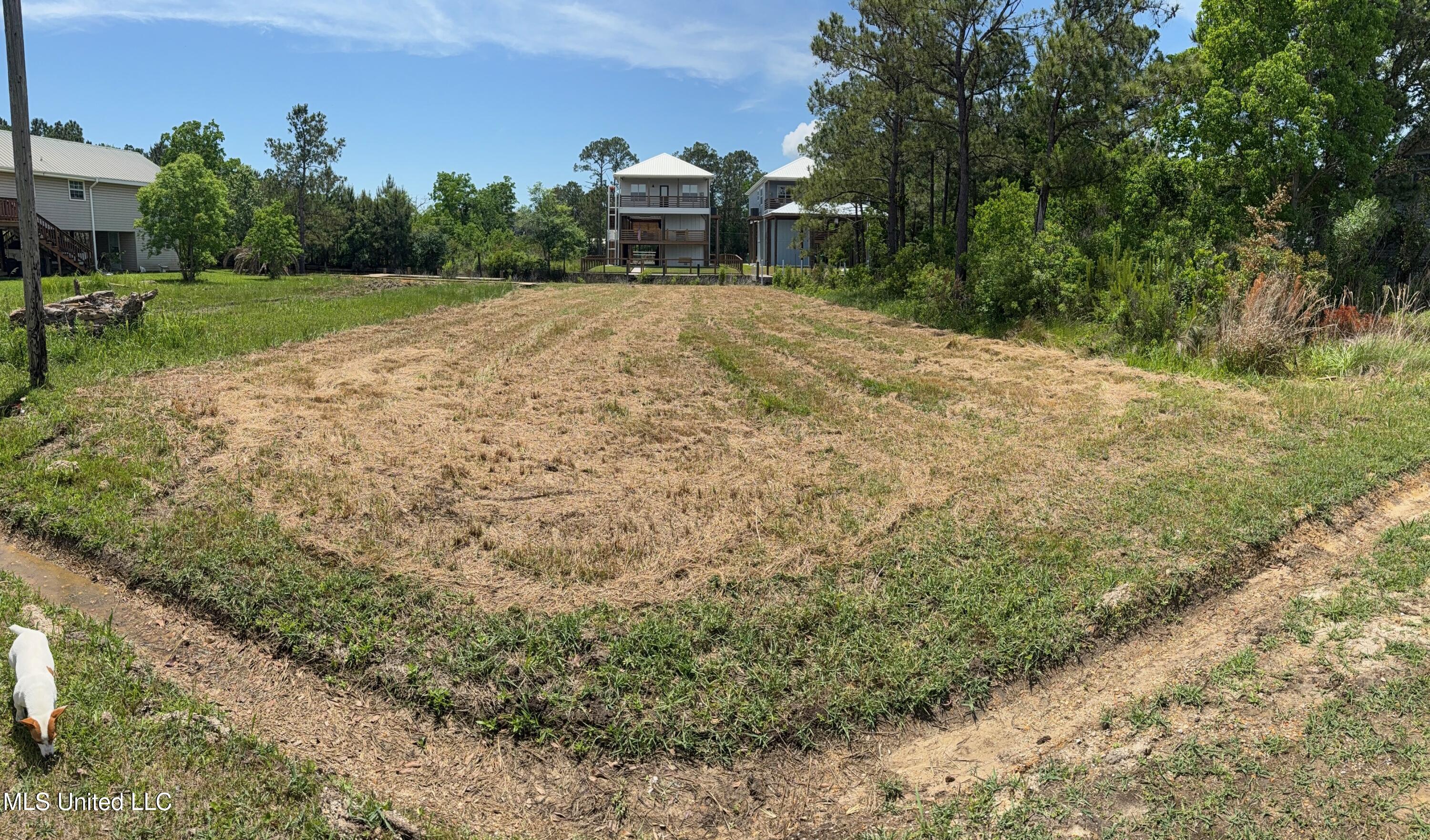 Kansas Street, Bay Saint Louis, Mississippi image 4