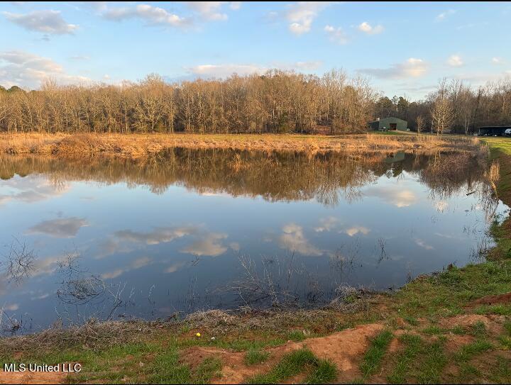 2759 County Road 2759, Sallis, Mississippi image 1
