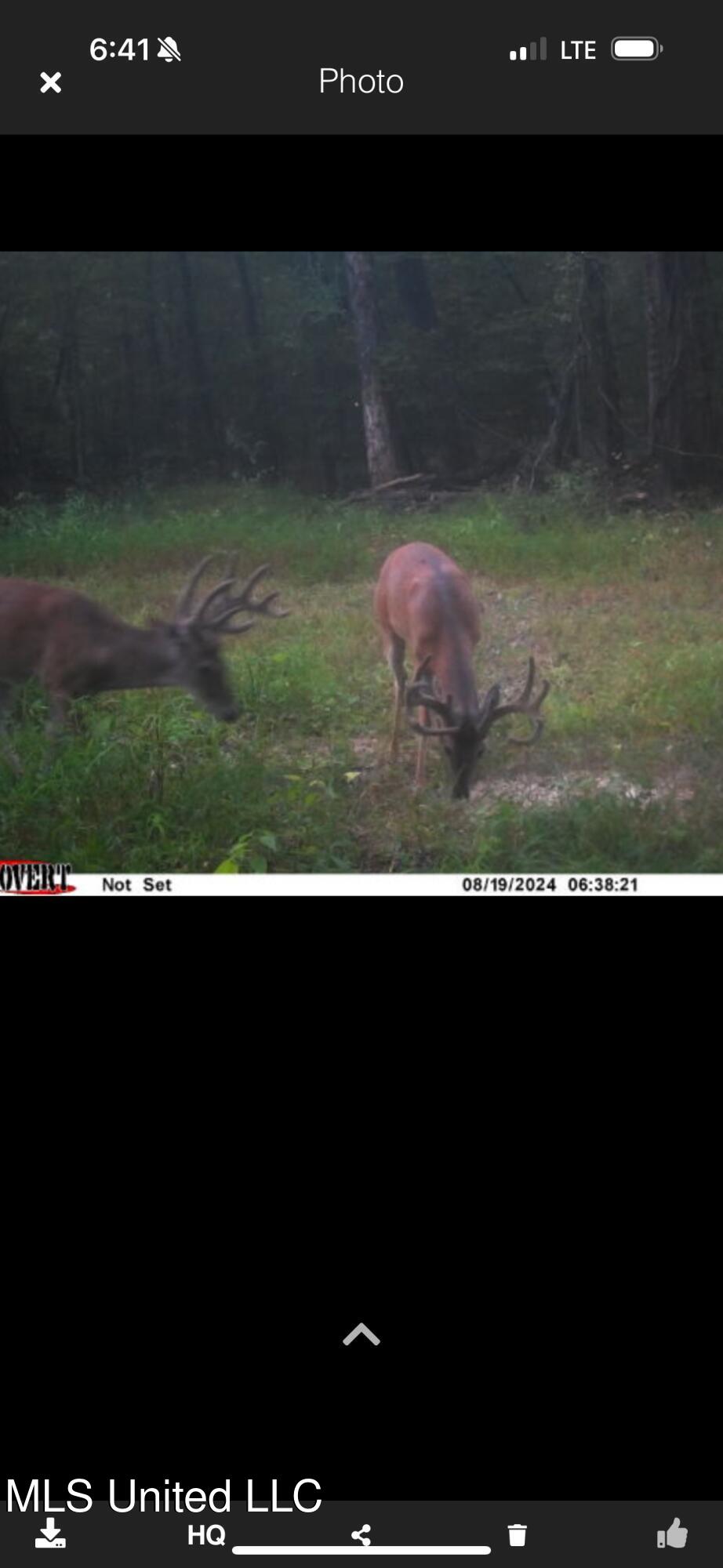 2759 County Road 2759, Sallis, Mississippi image 21