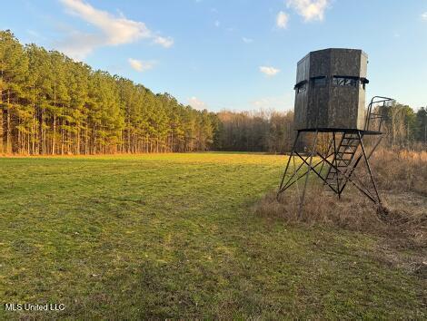 2759 County Road 2759, Sallis, Mississippi image 10