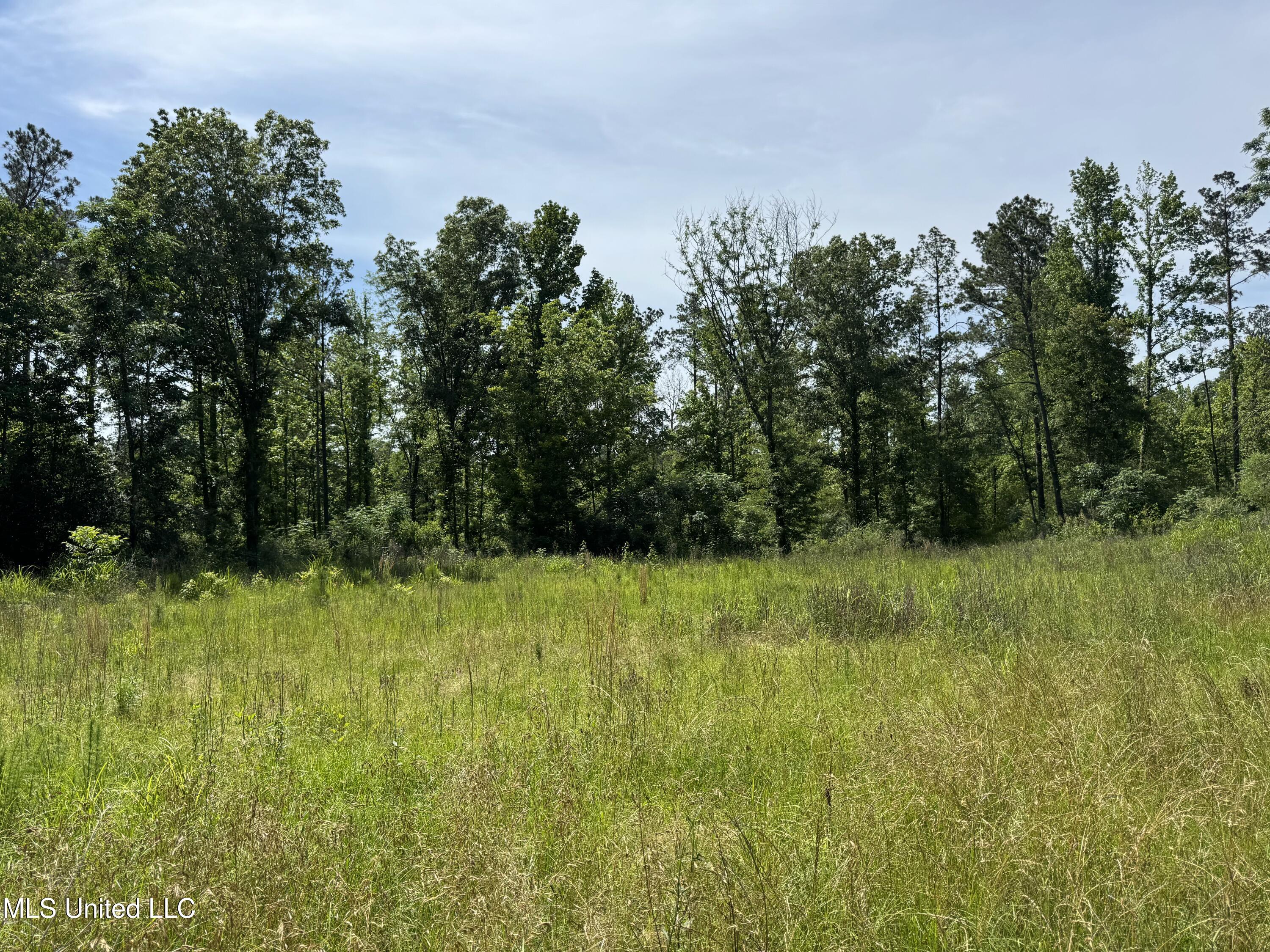 1228 Boyd Road, Utica, Mississippi image 1