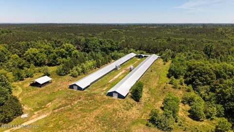 Vacant Land For Sale - 3037 Hickory Fellowship Road<br/> Hickory, MS 39332