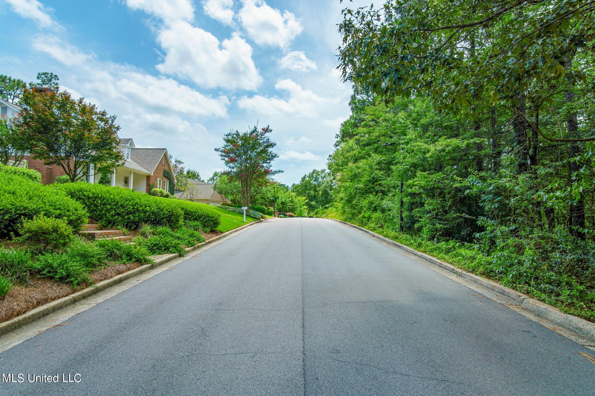 00 Kirkwood Drive, Hattiesburg, Mississippi image 4