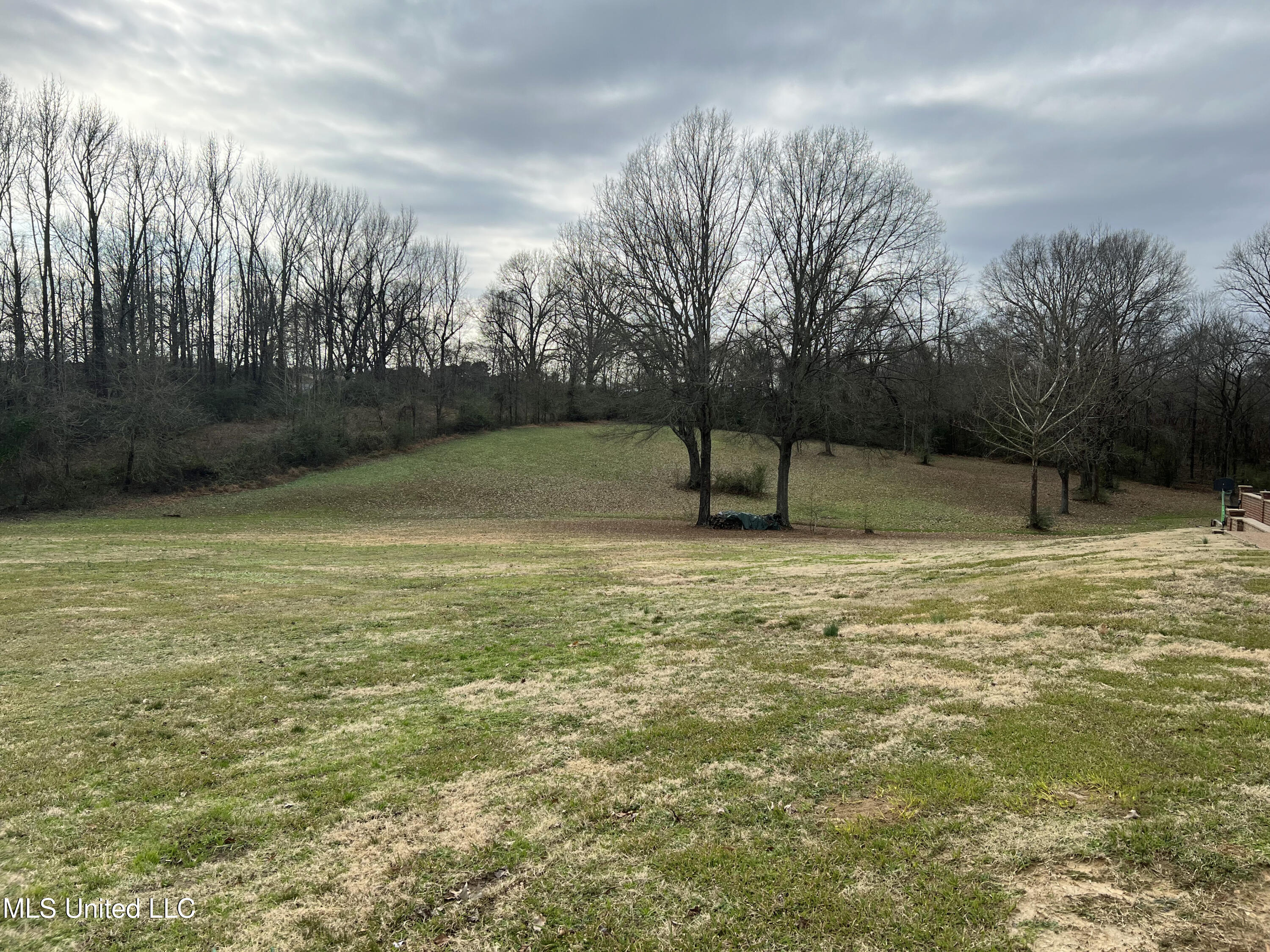 1895 Sunset Farms Drive, Hernando, Mississippi image 6