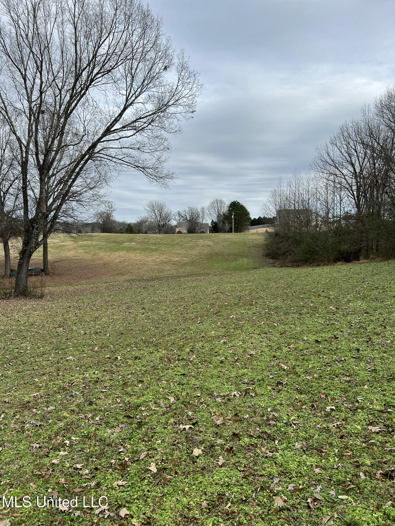 1895 Sunset Farms Drive, Hernando, Mississippi image 7