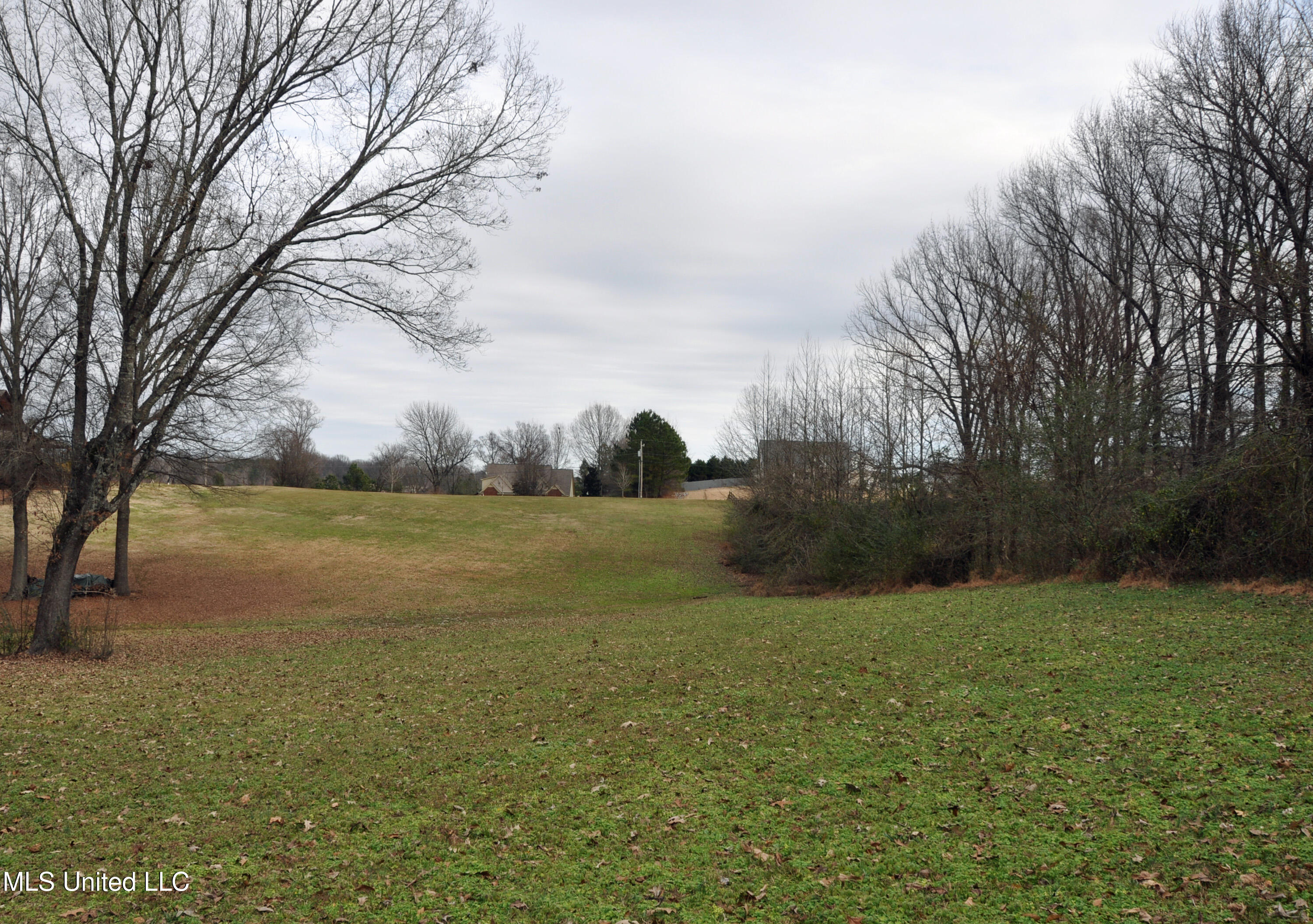 1895 Sunset Farms Drive, Hernando, Mississippi image 4