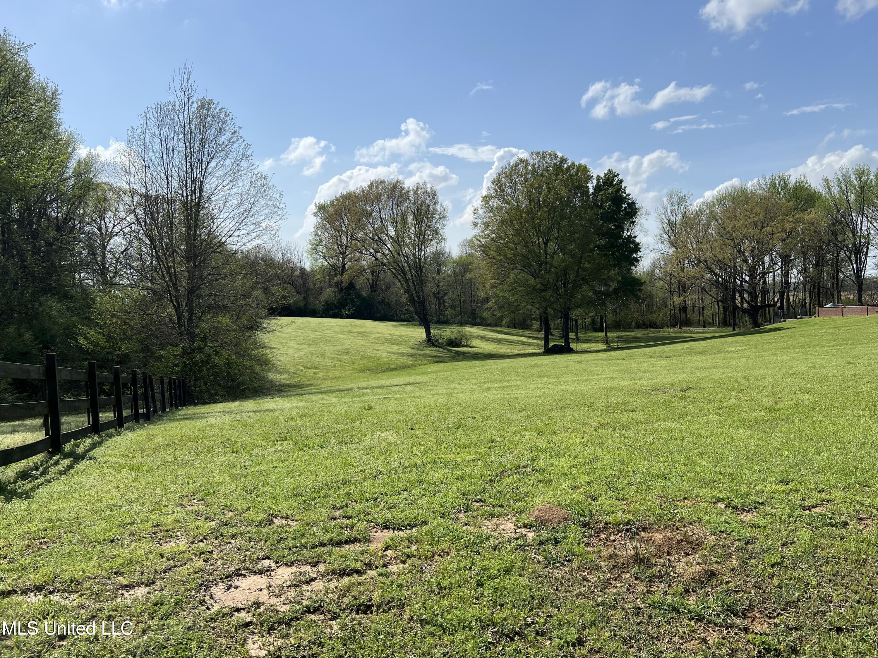 1895 Sunset Farms Drive, Hernando, Mississippi image 2