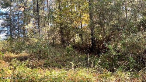 Vacant Land For Sale - Schmidt Road<br/> Pike County, McComb, MS 39648