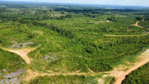 Vacant Land For Sale - 4 Will Womack<br/> Mantee, MS 39751
