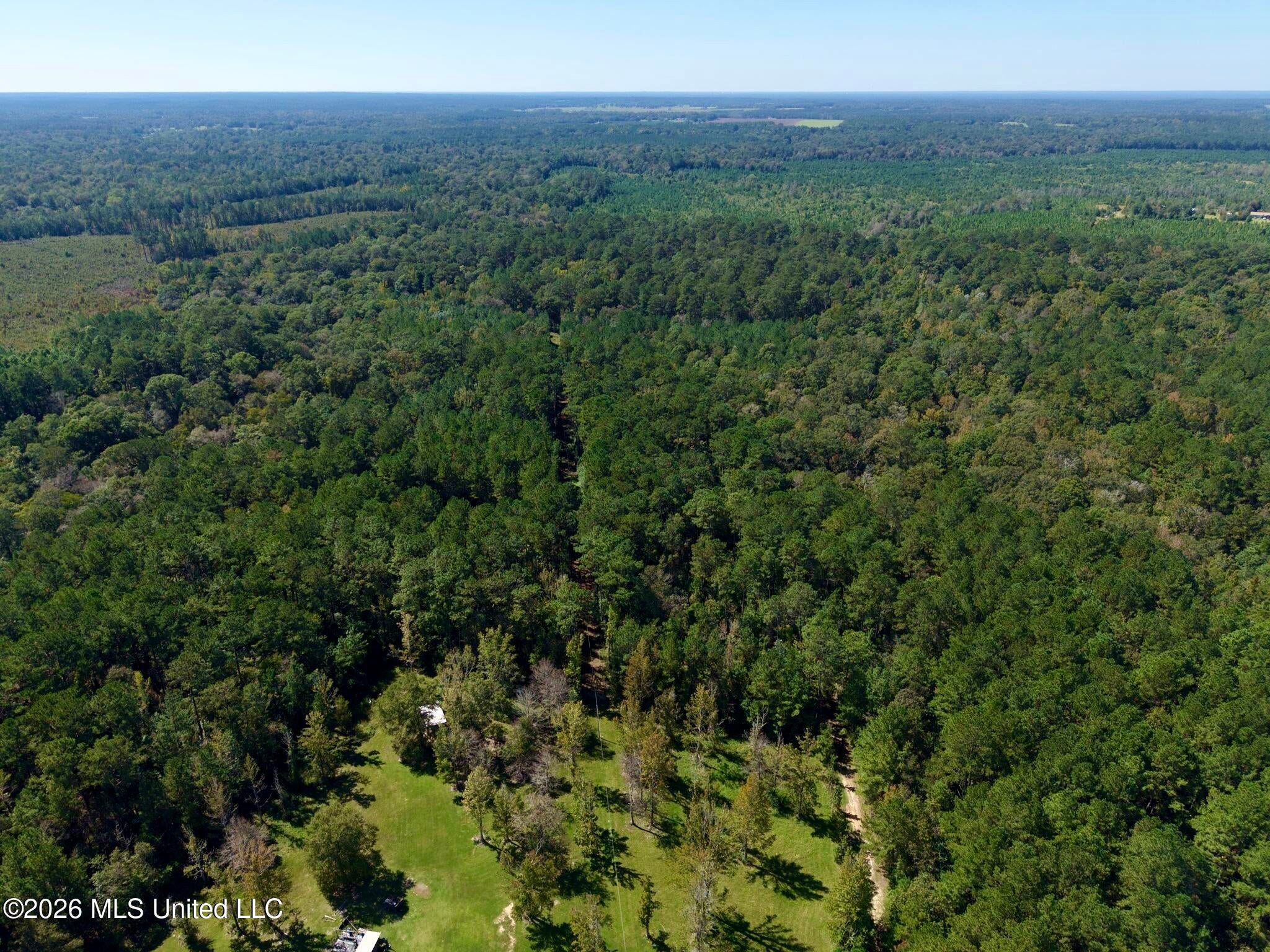 21.79 Acre Homer Ladner Road