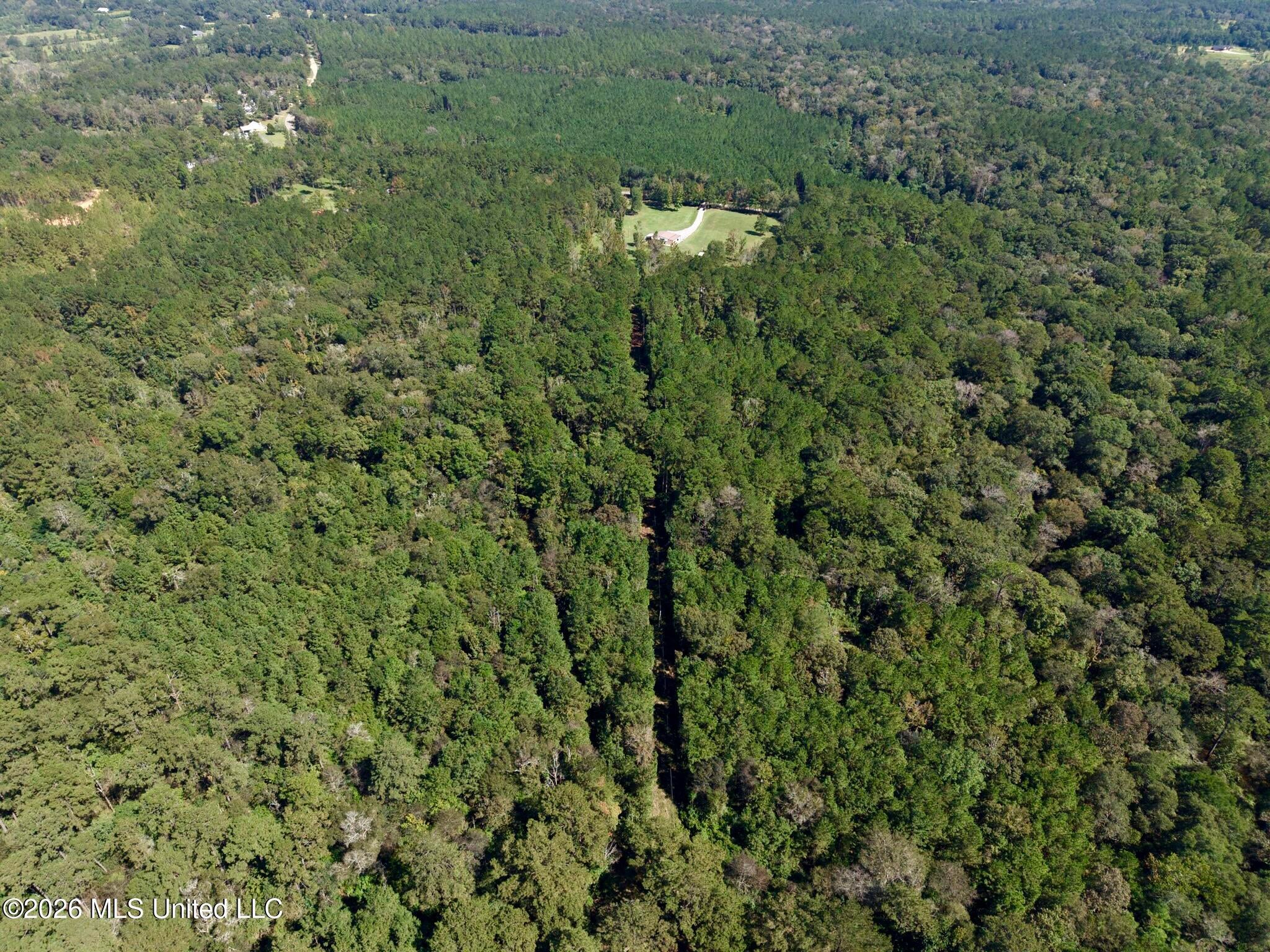 21.79 Acre Homer Ladner Road