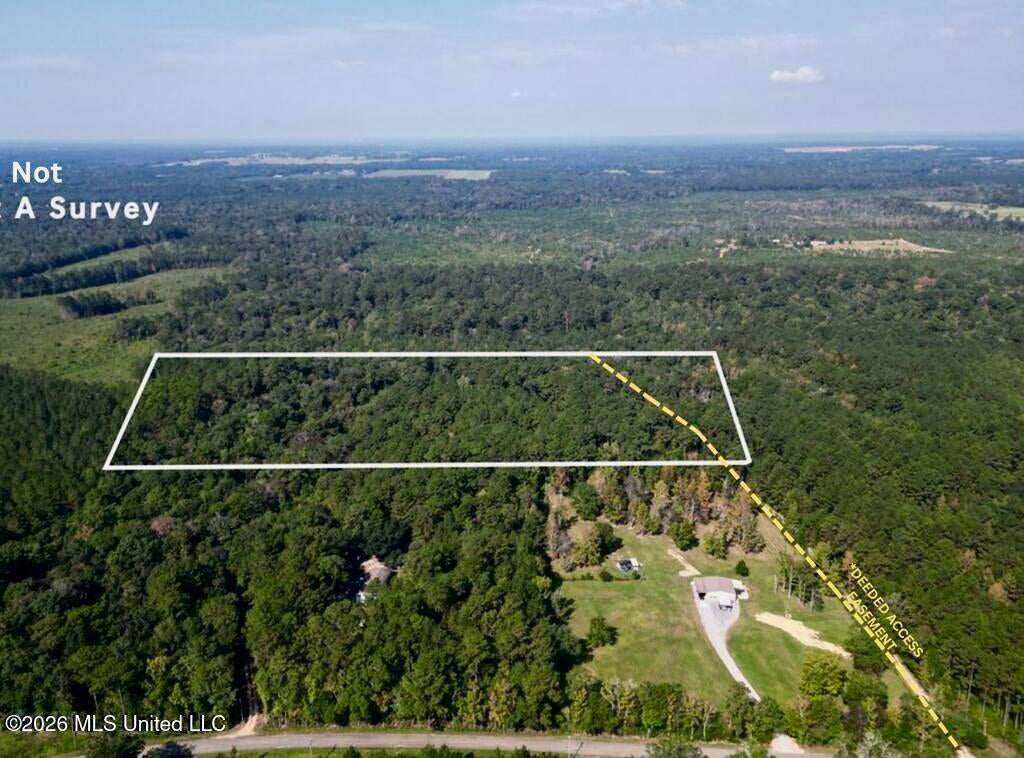 21.79 Acre Homer Ladner Road