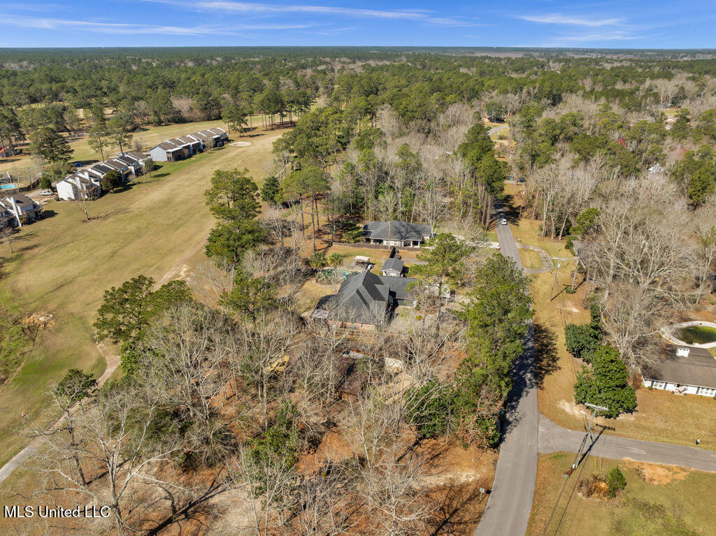 8305 Pine Cone Drive, Gautier, Mississippi image 46