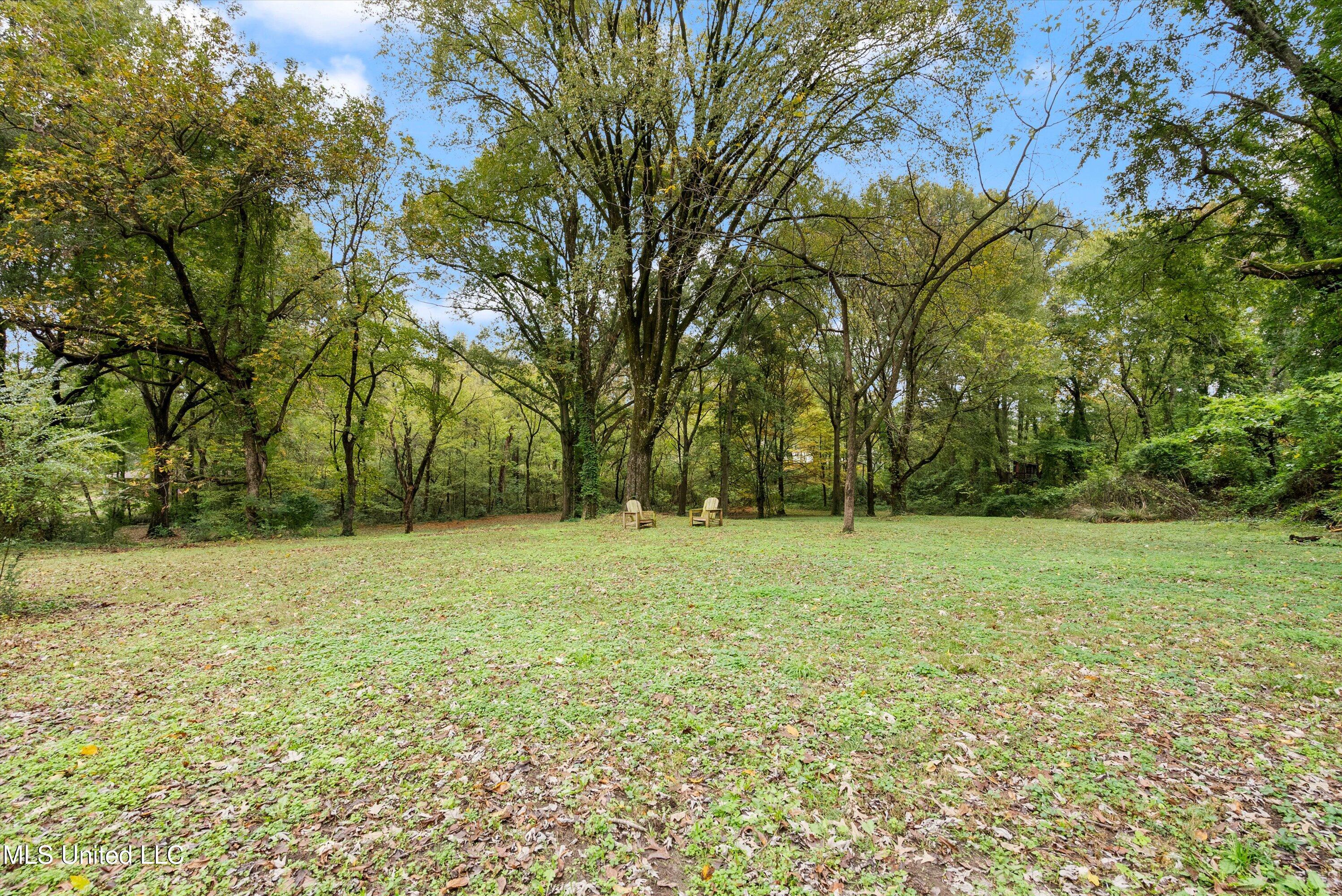 2310 Elm Street, Hernando, Mississippi image 39