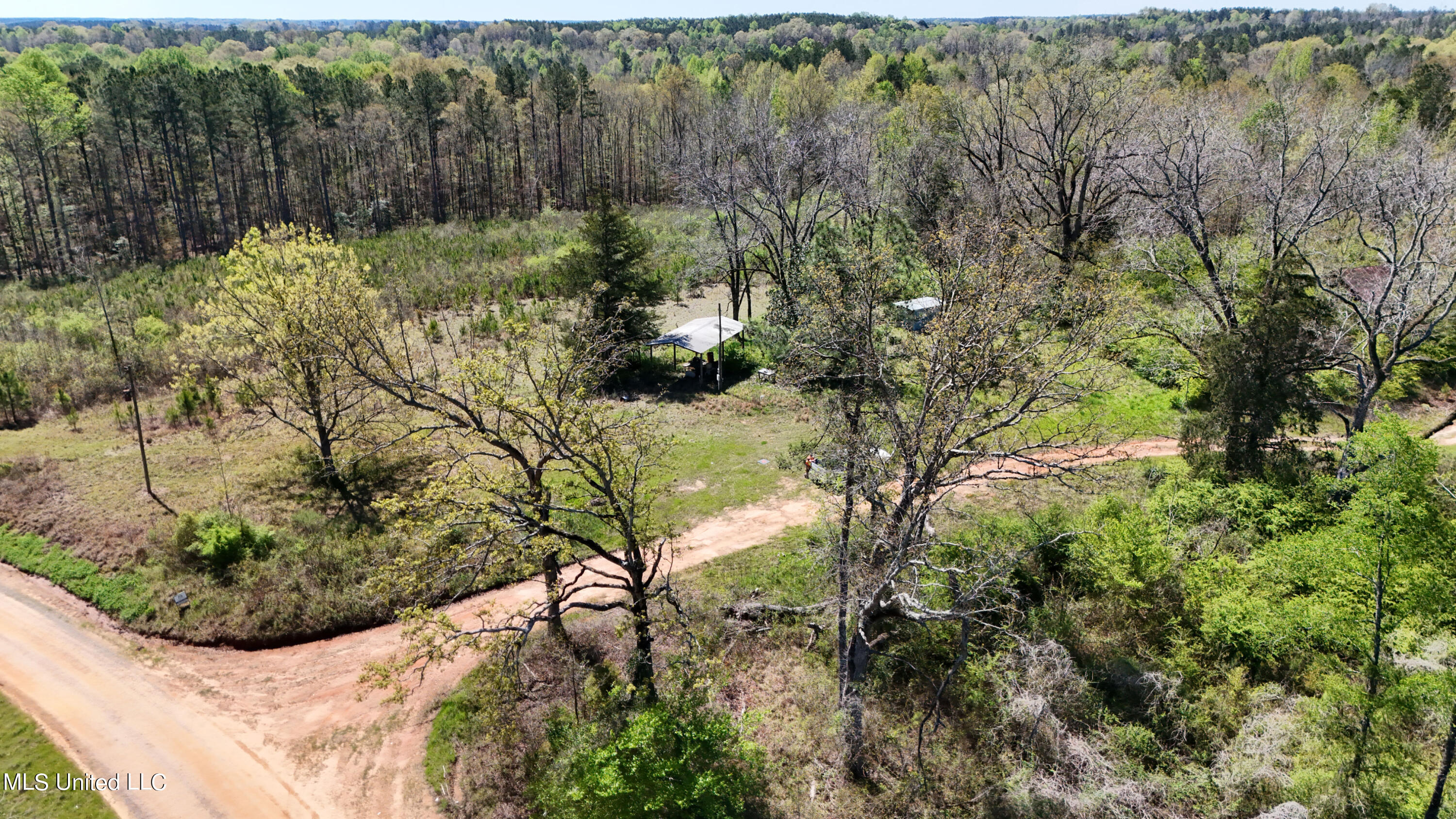 Hugh Hudnall Road Road, Decatur, Mississippi image 12