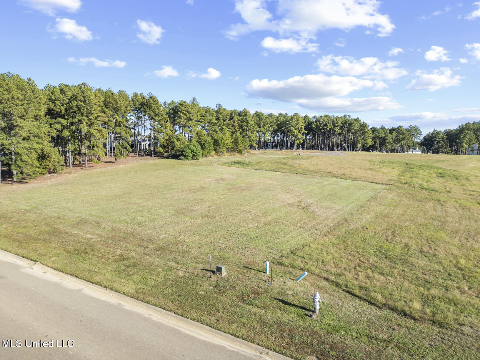 356 Lake Village Drive, Madison, Mississippi image 9