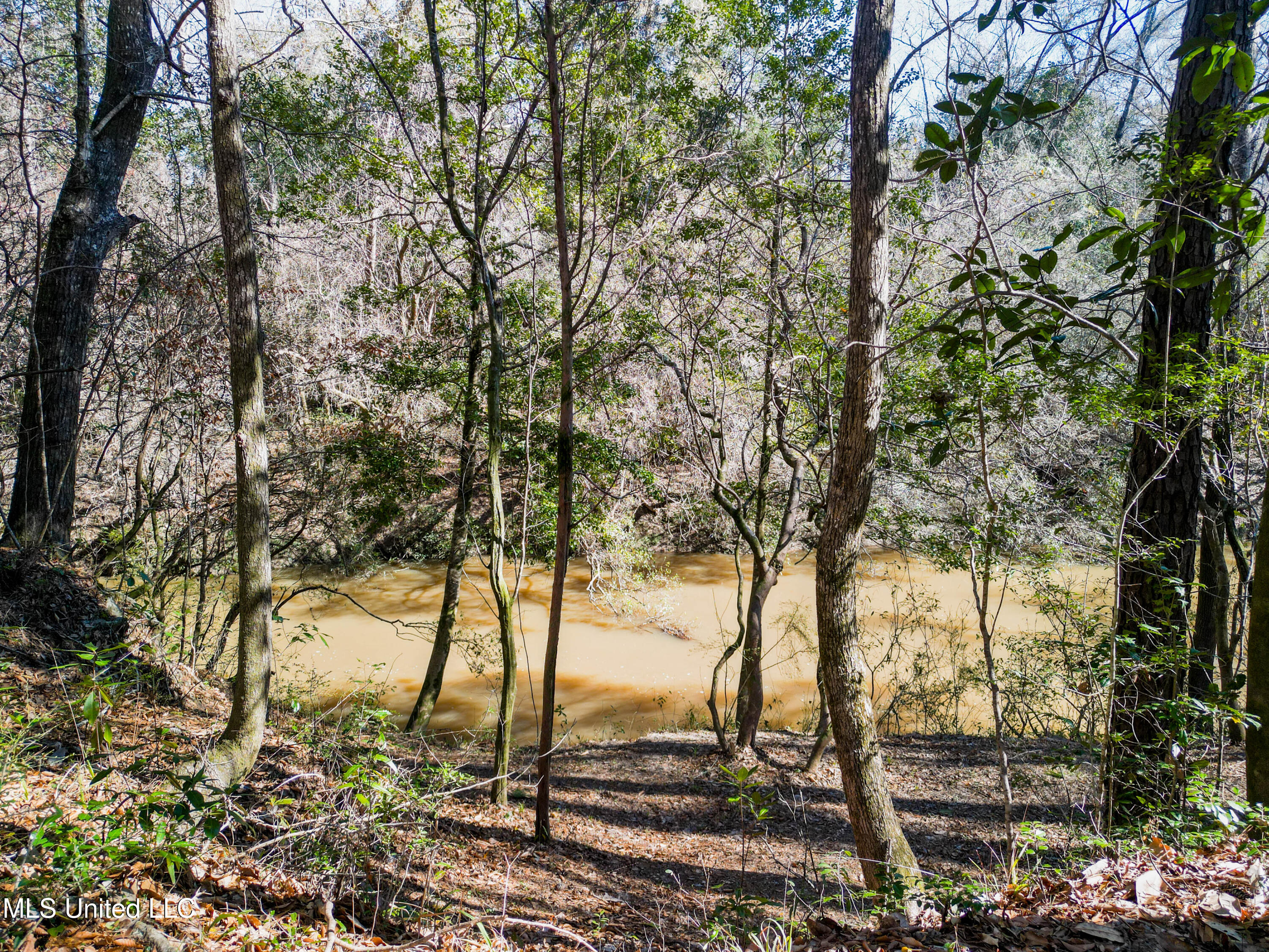 23448 River Ridge Drive, Saucier, Mississippi image 3
