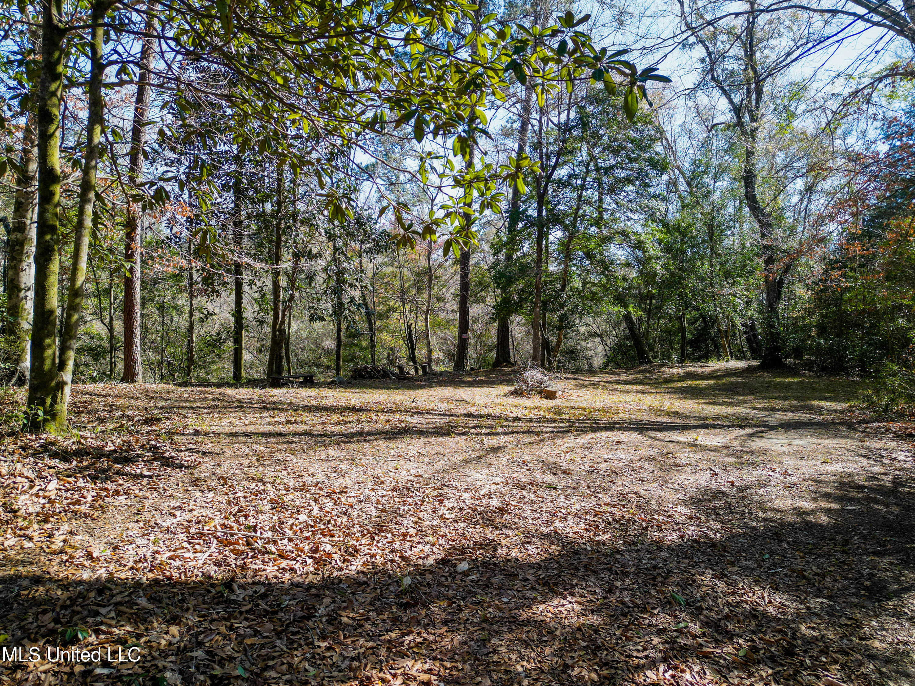 23448 River Ridge Drive, Saucier, Mississippi image 2