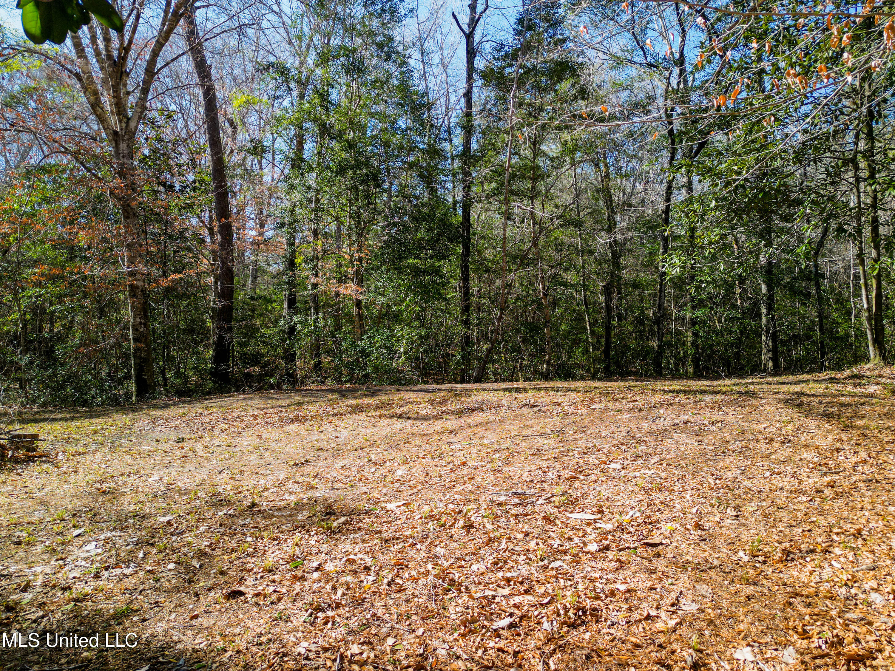 23448 River Ridge Drive, Saucier, Mississippi image 5