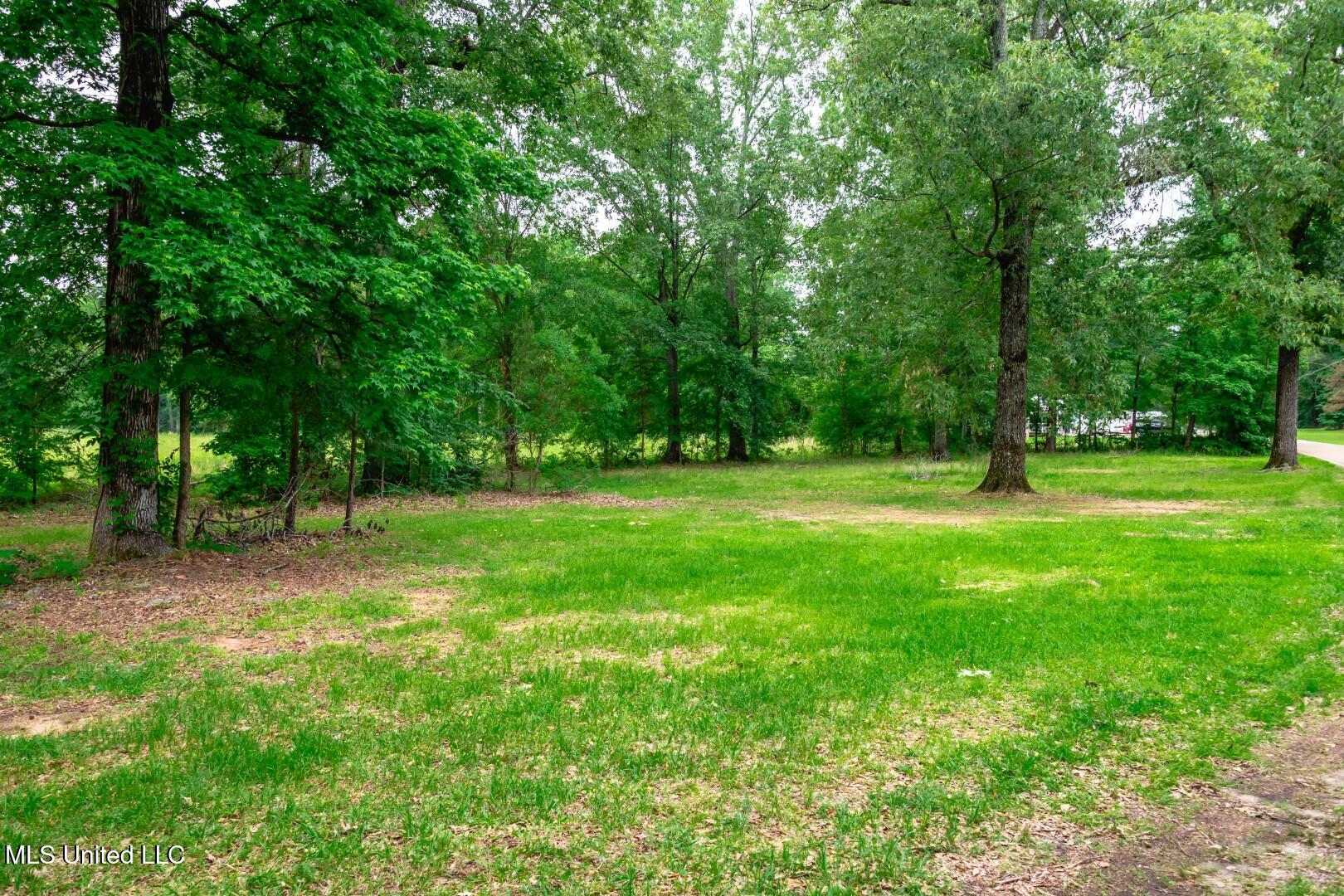 138 Williams Drive, Florence, Mississippi image 23