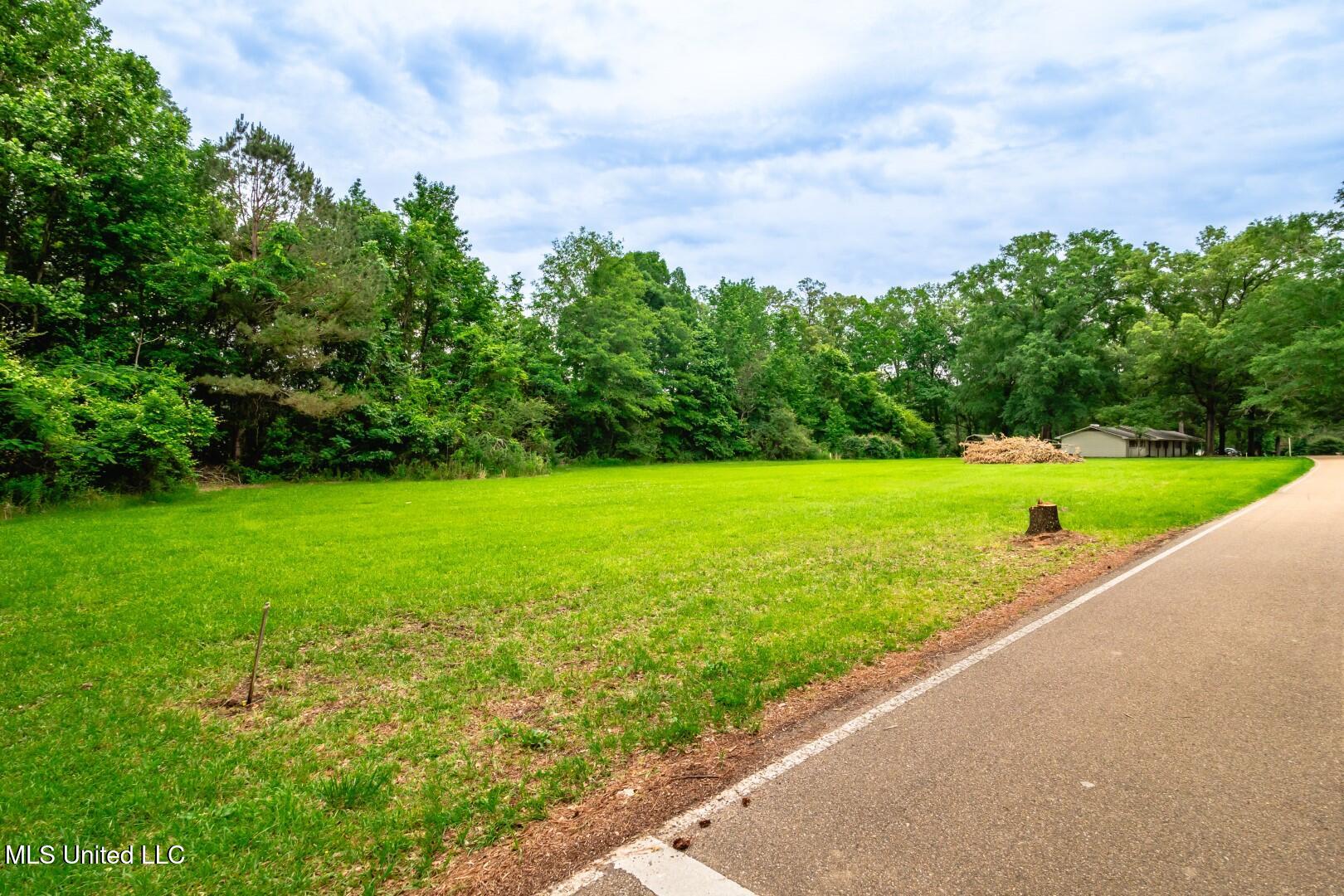 138 Williams Drive, Florence, Mississippi image 24
