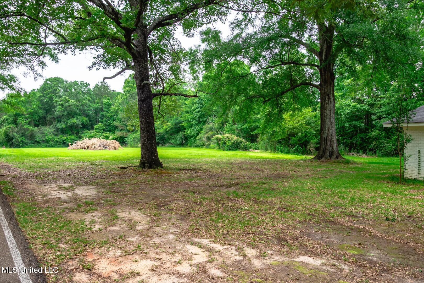 138 Williams Drive, Florence, Mississippi image 25