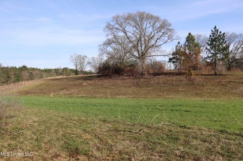 Vacant Land For Sale - 1270 Hilt Fornea Road<br/> Pearl River County, Poplarville, MS 39470