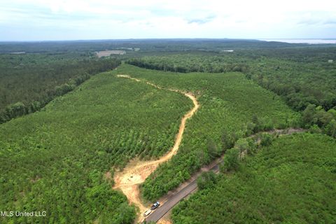 Vacant Land For Sale - Alice Williams Road<br/> Gore Springs, MS 38929