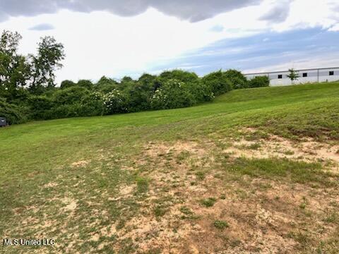 9091 Hunters Ridge Drive, Olive Branch, Mississippi image 25