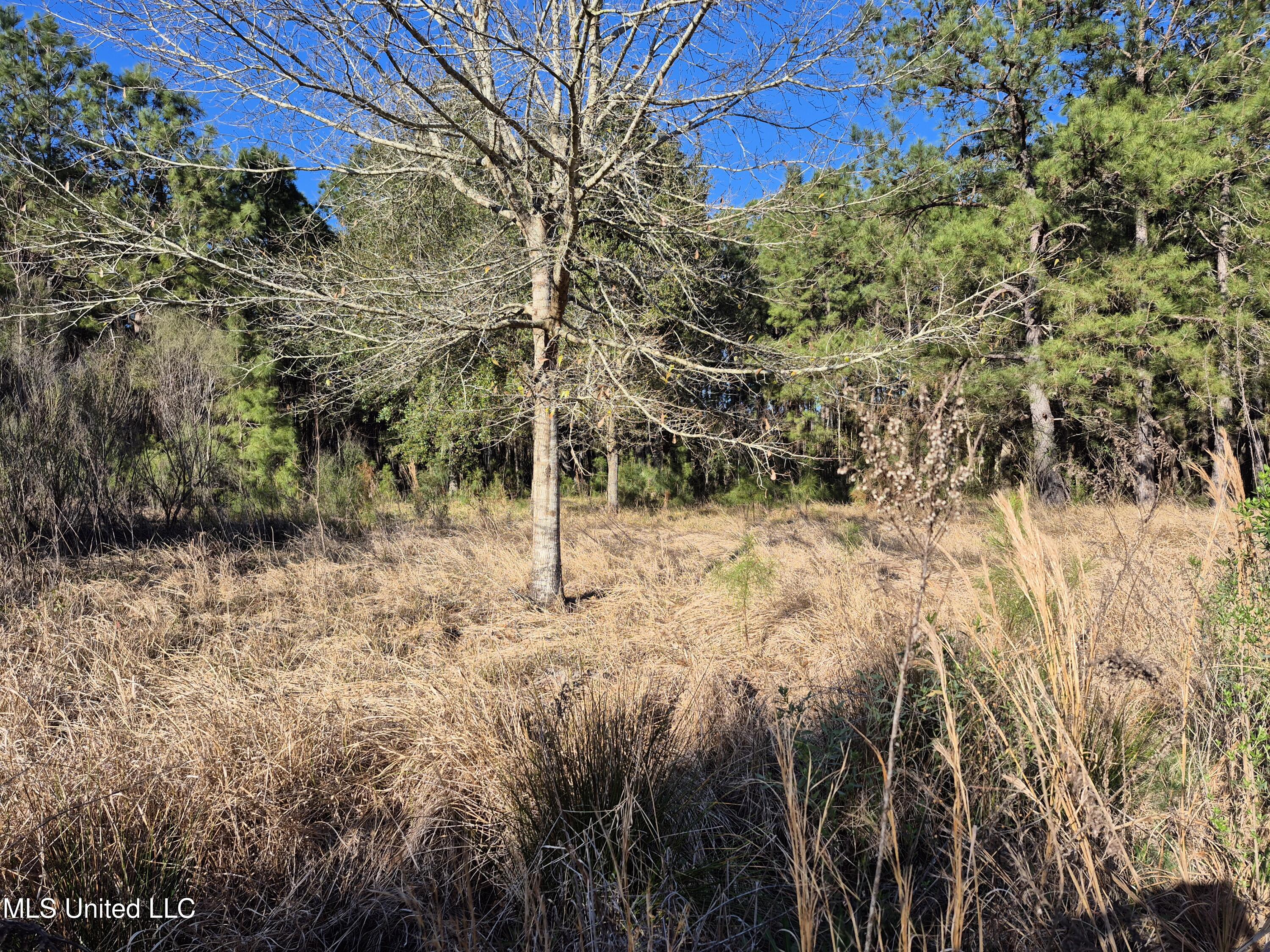 16th Street, Bay Saint Louis, Mississippi image 1