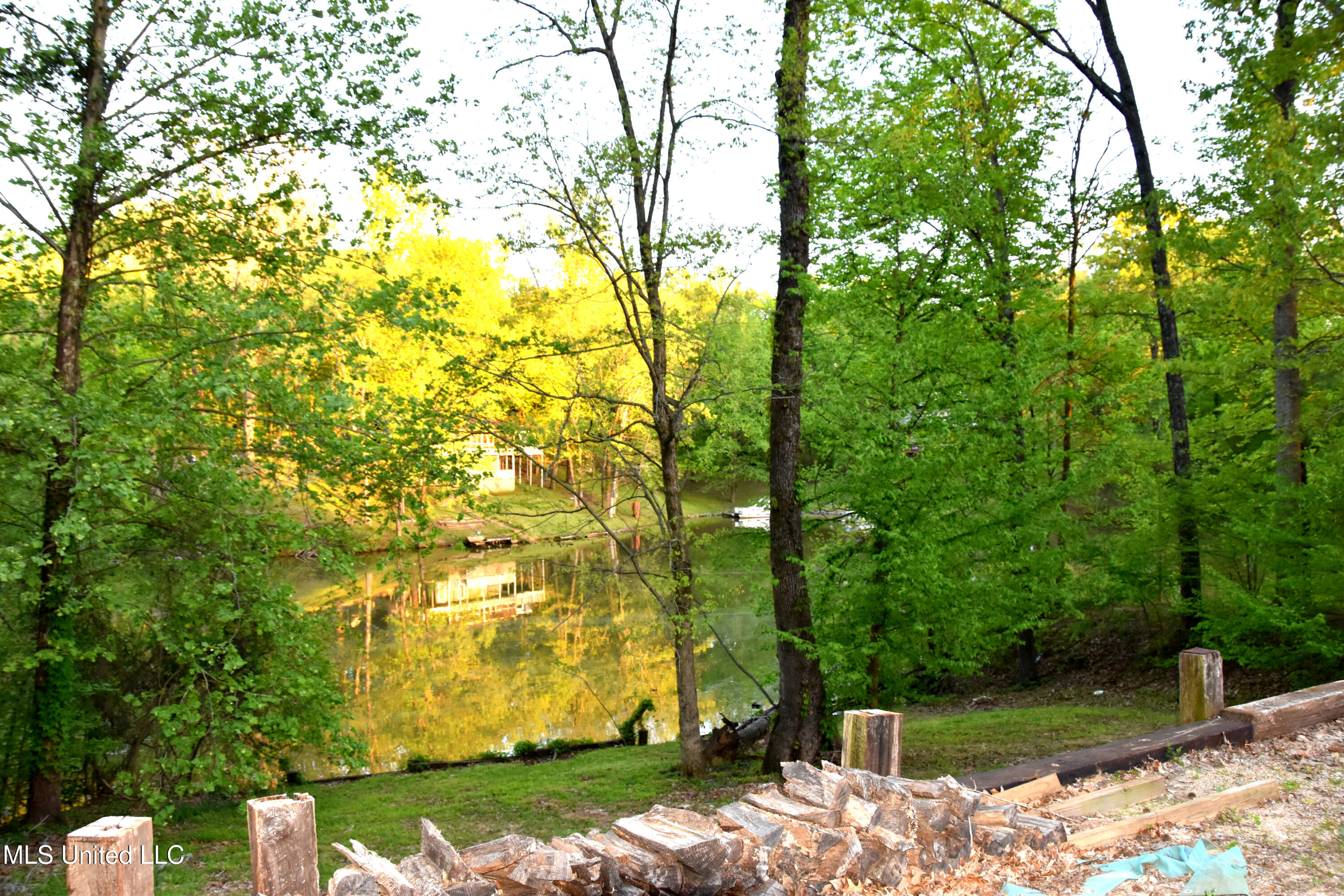 10817 Loch Lomond Circle, Hernando, Mississippi image 35
