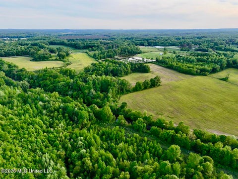 Vacant Land For Sale - 00001 County Road 204<br/> Tippah County, Tiplersville, MS 38674